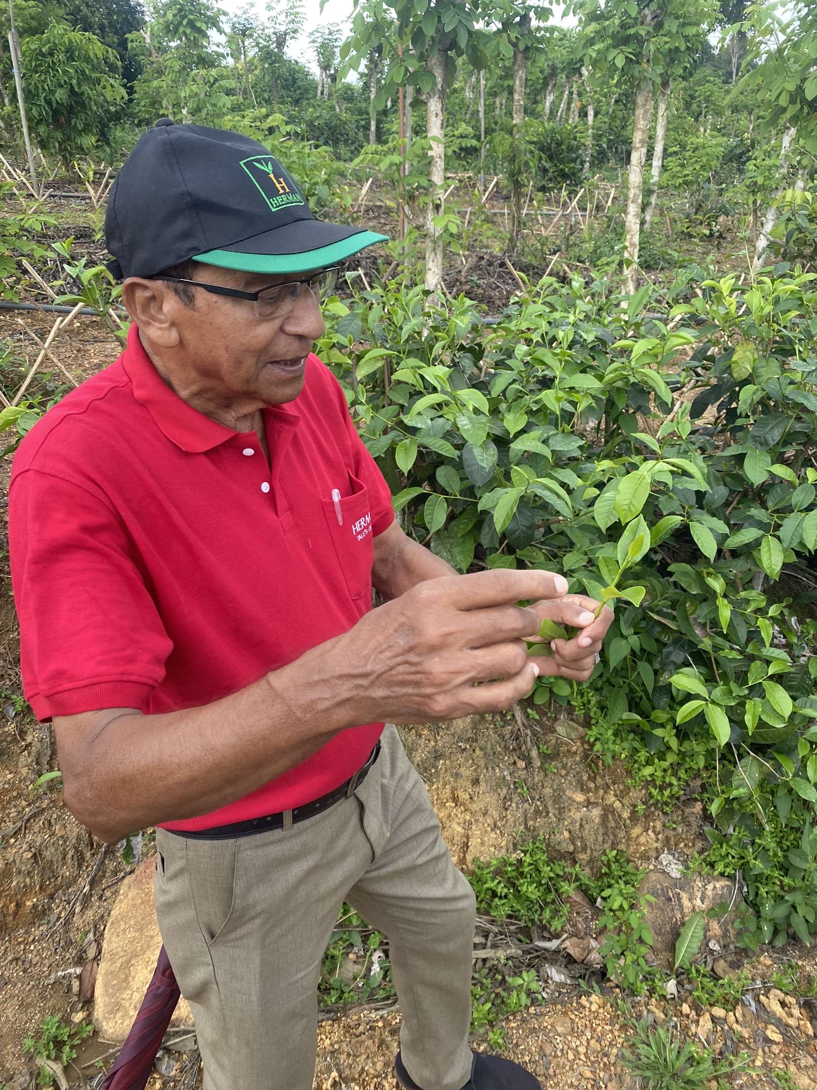 Fifth day in Sri Lanka, January 10th